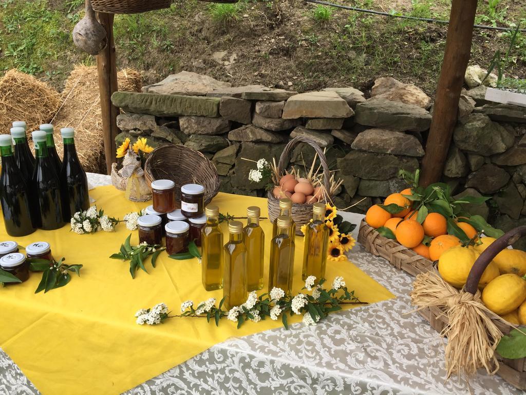 Agriturismo Primaluce Sorrento Dış mekan fotoğraf