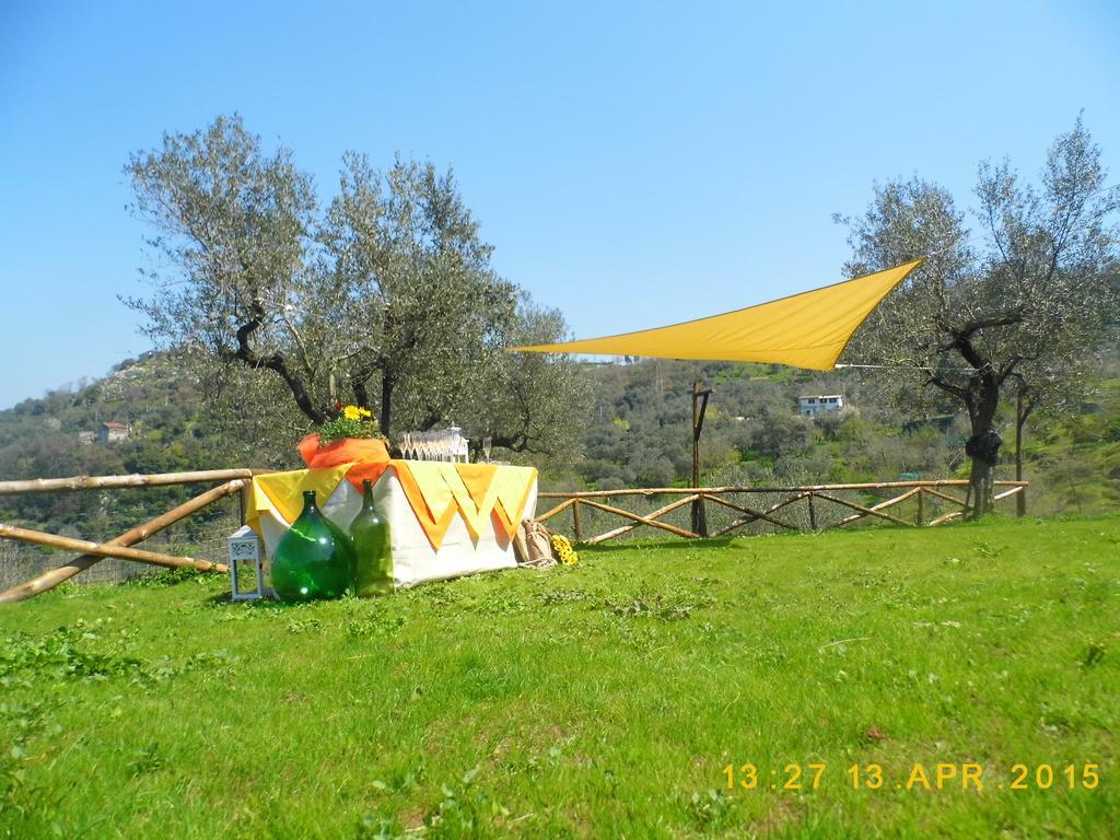 Agriturismo Primaluce Sorrento Dış mekan fotoğraf